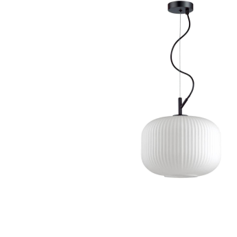 Подвесной светильник ODEON LIGHT PENDANT ROOFI 4754/1