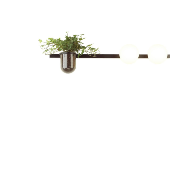 Настенный светильник ODEON LIGHT WALLI FLOWER 4681/2W