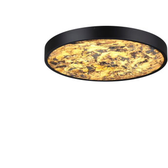 Настенно-потолочный светильник ODEON LIGHT BERGI 5064/40L